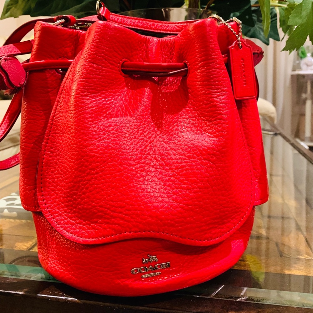 Authentic Coach Petal Bag